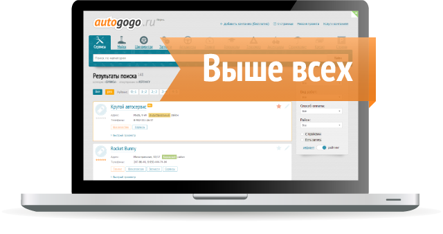 Выше всех — Статус PRO на Autogogo.ru